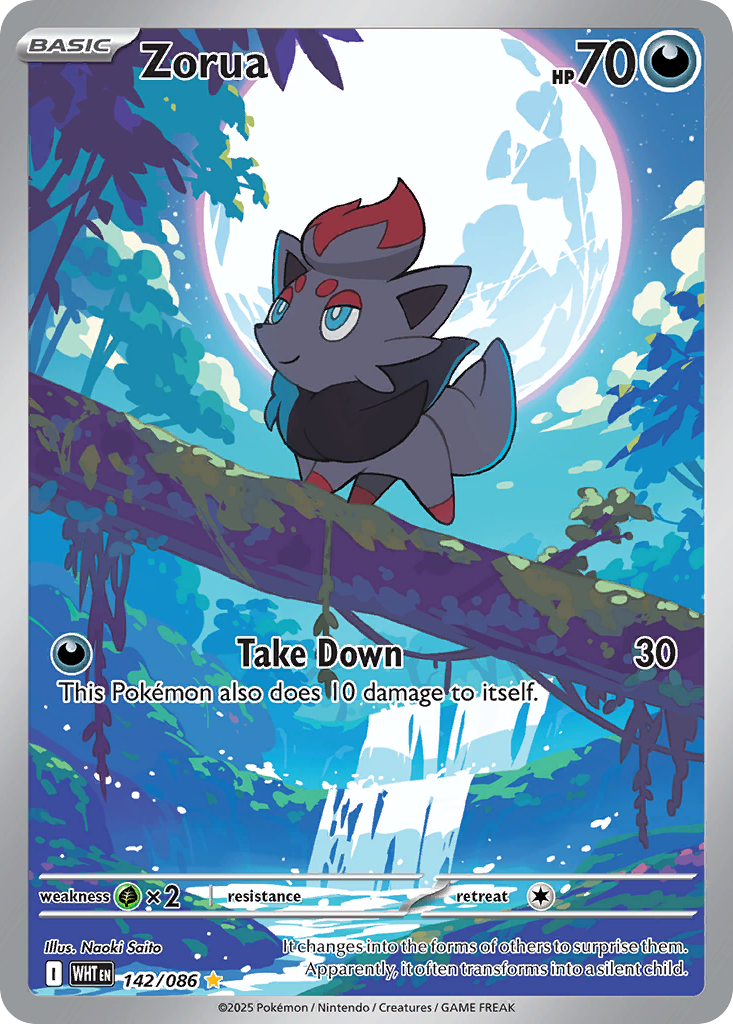 Zorua large