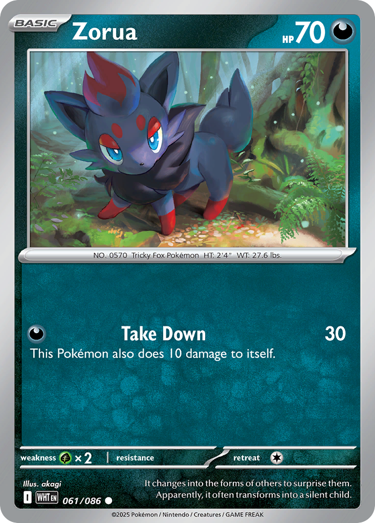Zorua large