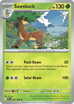 Sawsbuck small