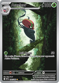 Accelgor small