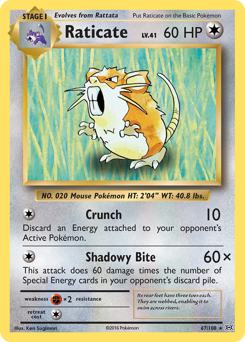 Raticate card for Evolutions