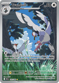 Tranquill small