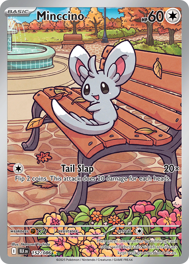 Minccino large