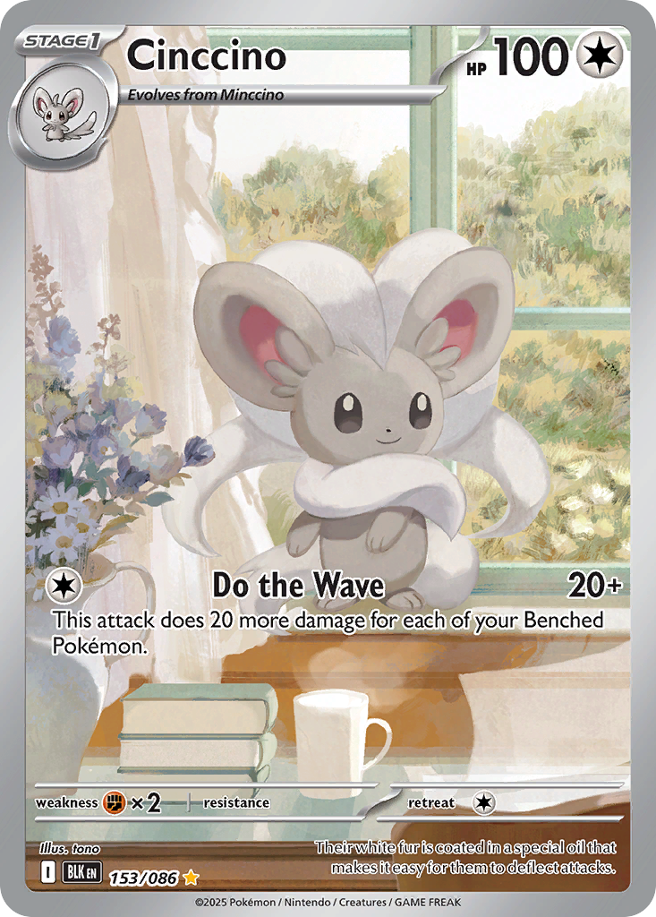 Cinccino large