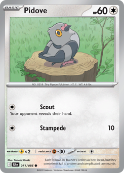 Pidove small