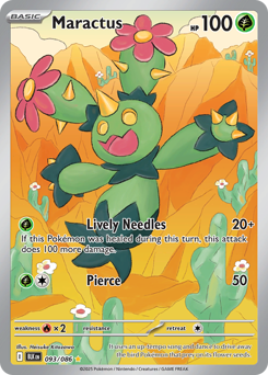 Maractus small