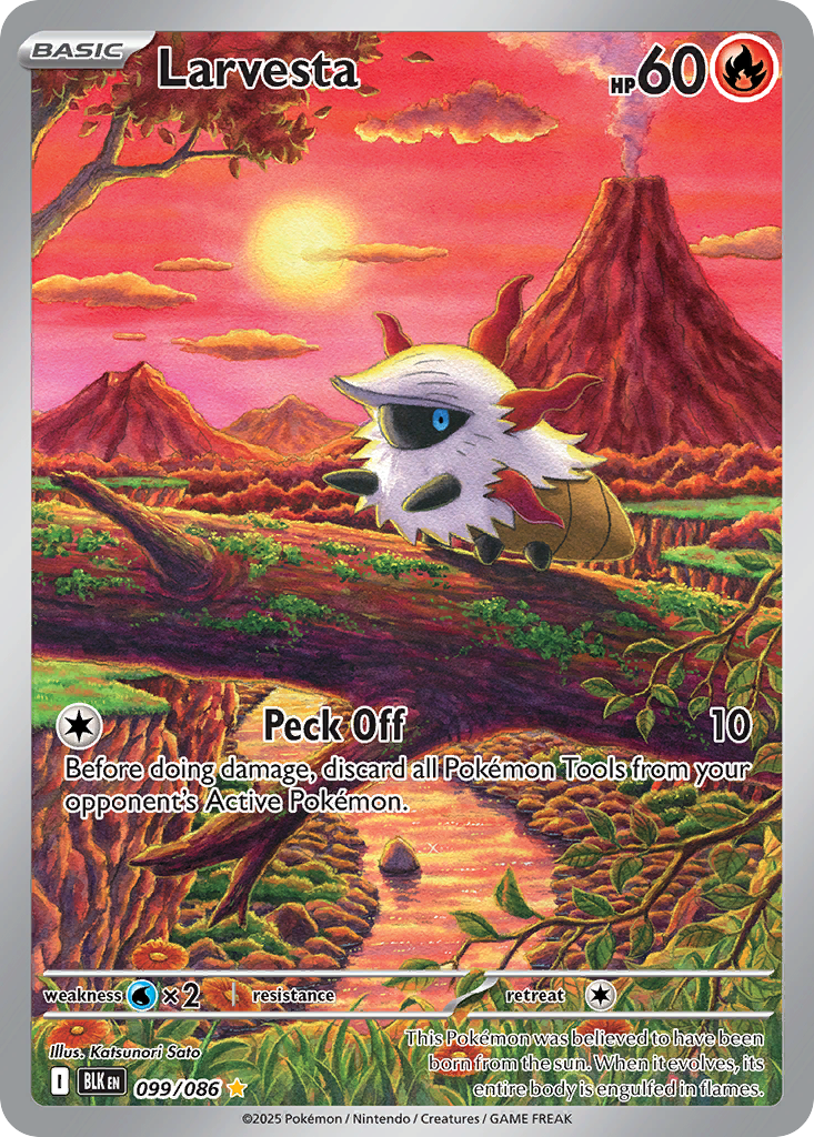 Larvesta large